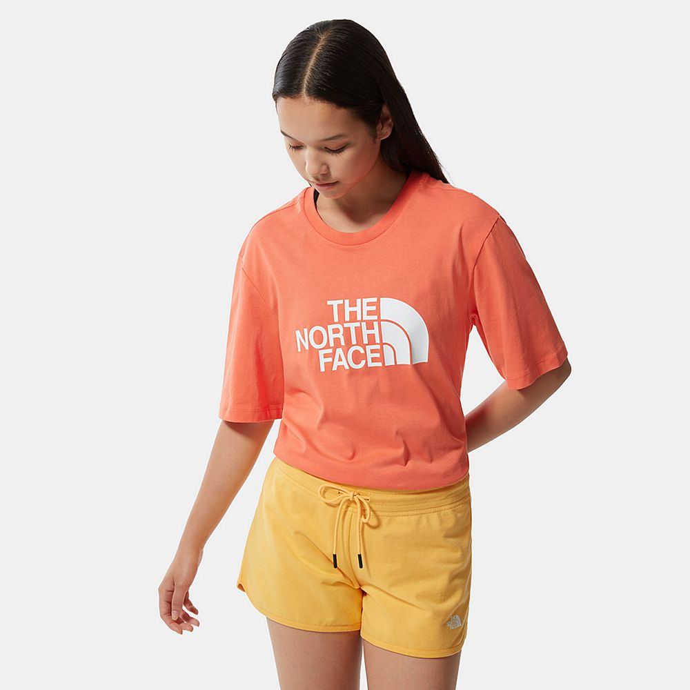 The North Face T-Shirts Womens Australia - The North Face Relaxed Summer Orange (BOC-180472)